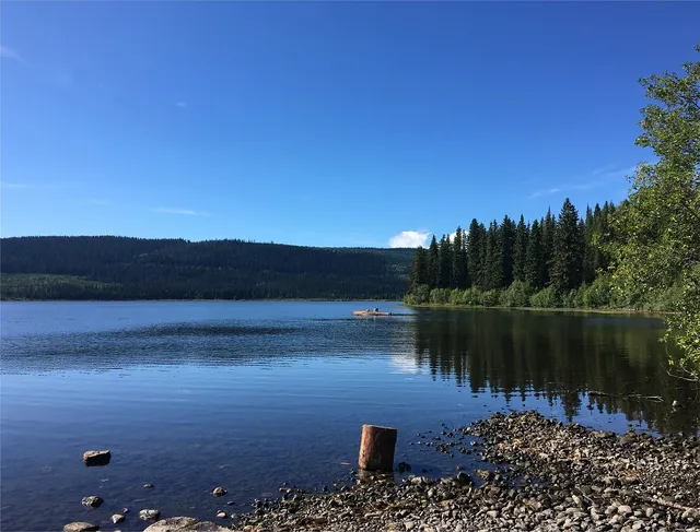2014-08-08_00123.jpg