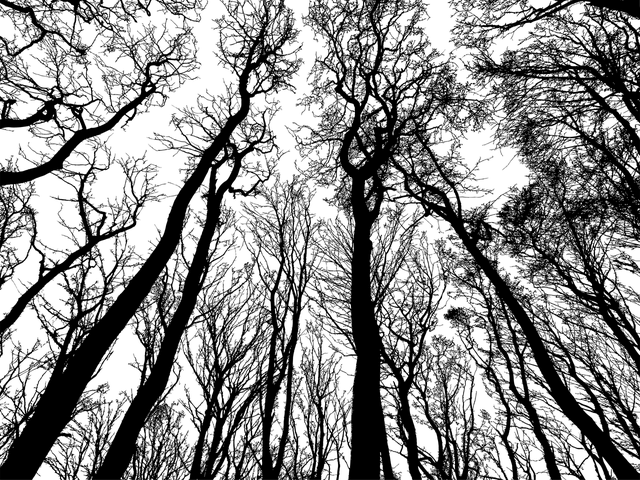 2014-08-08_00160.jpg