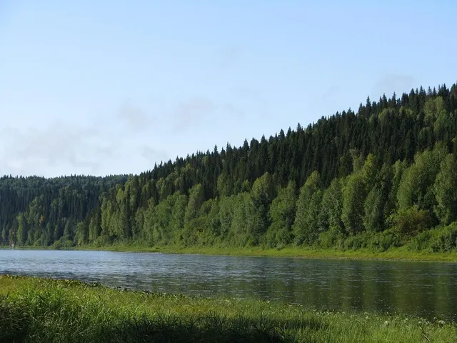 2014-08-08_00090.jpg